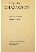 Mały atlas chrząszczy