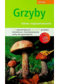 Grzyby