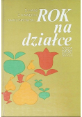 Rok na działce