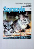 Szynszyle