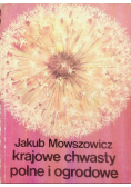 Krajowe chwasty polne i grodowe