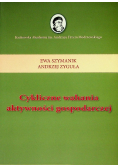 Cykliczne Wahania Aktywności Gospodarczej