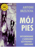 Mój pies