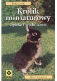 Królik miniaturowy opieka i wychowanie