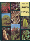 Drzewa i krzewy