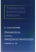 Ewangelia według świętego Mateusza rozdziały 1 - 13