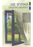 Drzewo morwy