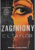 Zaginiony