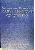 Zarys anatomii człowieka