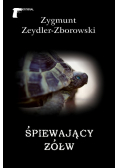 Śpiewający żółw