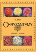 Chryzantemy