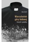 Wierzchołek góry lodowej Kościół i pedofilia