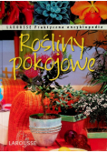 Rośliny pokojowe