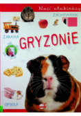 Nasi ulubieńcy. Gryzonie