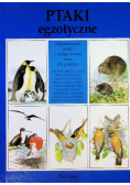 Ptaki egzotyczne