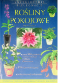 Rośliny pokojowe