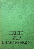 Dzieje żup krakowskich