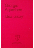Idea prozy