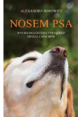 Nosem psa Wycieczka do fascynującego świata zapachów
