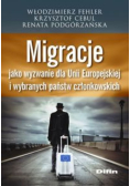 Migracje jako wyzwanie dla Unii Europejskiej i wybranych państw członkowskich
