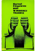 Kot w mokrej trawie