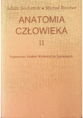 Anatomia człowieka Tom II