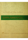 Strumienice