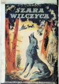 Szara Wilczyca 1949 r.