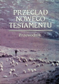 Przegląd Nowego Testamentu