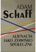 Alienacja jako zjawisko społeczne