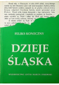 Dzieje Śląska