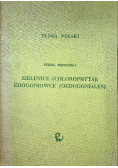Flora Polski Zielenice chlorophyta edogoniowce oedogoniales
