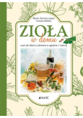 Zioła w domu czyli jak dbać o zdrowie