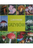 Leksykon grzybów