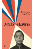 Zapiski syna tego kraju