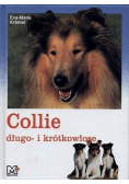 Collie długo i krótkowłose