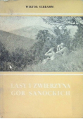 Lasy i zwierzyna Gór Sanockich