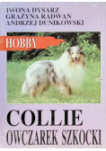 Collie Owczarek Szkocki