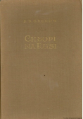 Chłopi na Rusi