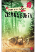 Ziemna burza