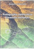 Pedagogika opiekuńcza Elementy metodyki