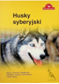 Husky syberyjski