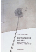 Doświadczenie wglądu