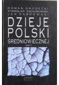 Dzieje Polski Średniowiecznej Tom II