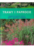 Trawy i paprocie