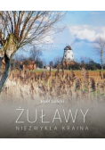 Żuławy