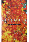 Arboretum w Rogowie