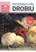 Przydomowy chów drobiu