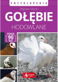 Encyklopedia  Gołębie hodowlane