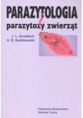 Polubić pszczoły
